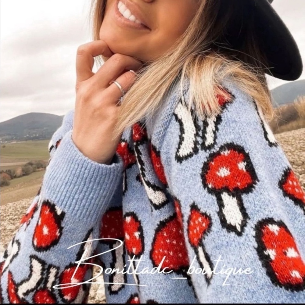 Zara Blogger's Favorite Knit Mushroom Long Sleeve Crew Neck Novelty Sweater - Picture 9 of 16